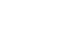 brazen fox nyc logo