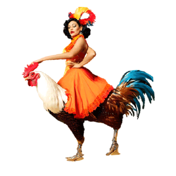 Woman on rooster.