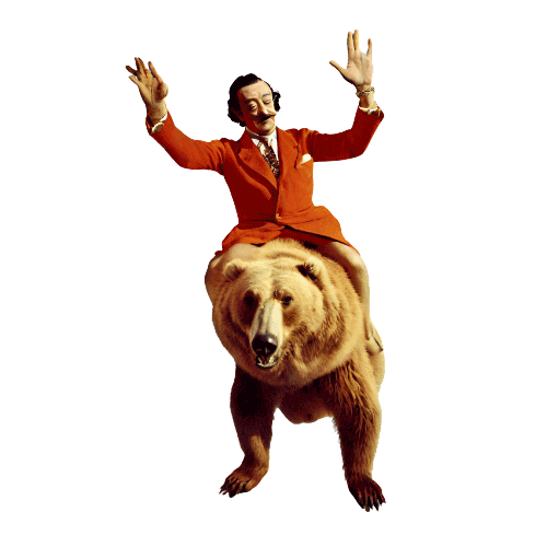 Dali on the bear.