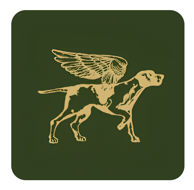 BIRDOG logo top - Homepage