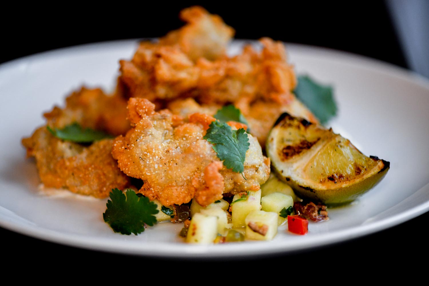 Fried oysters dish served