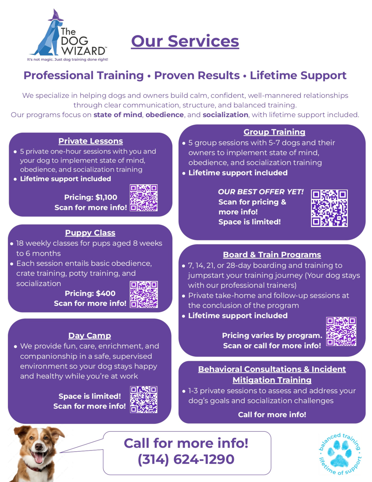 Our services: Professional Training, Proven Results, Lifetime support
