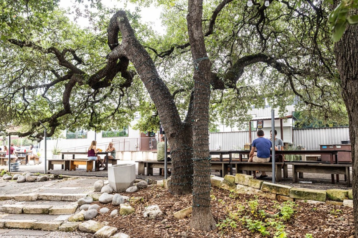 Shaded picnic tables under the oak trees.