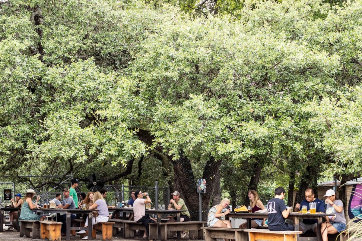Groups seated at long tables in the tree-covered beer garden.