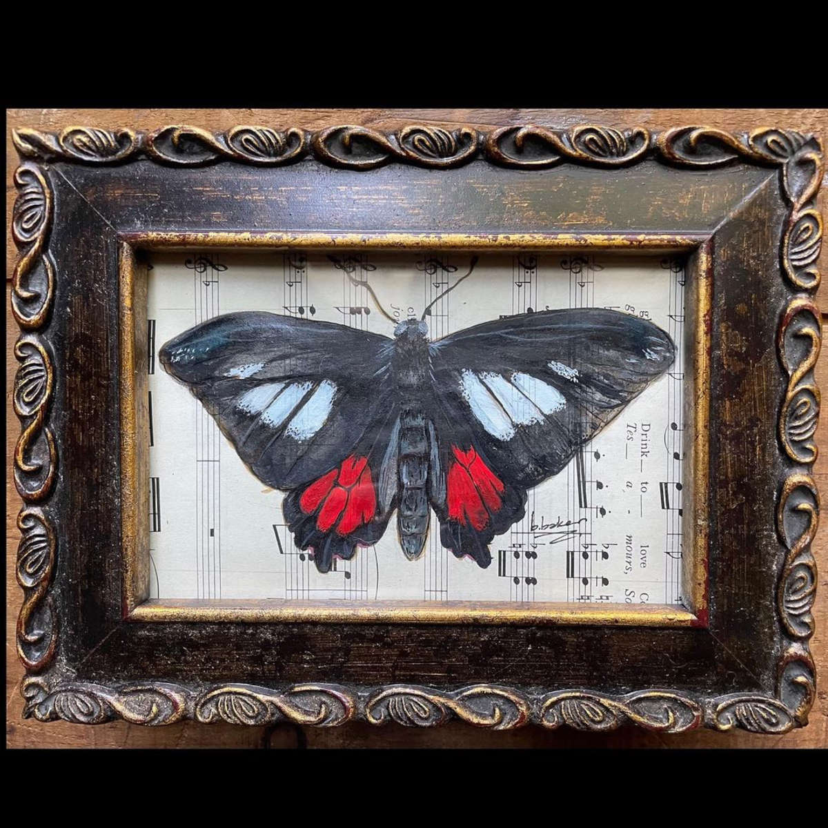 a butterfly in a frame