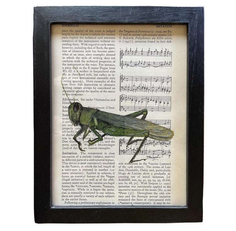 Grasshopper motif on a sheet music and text background