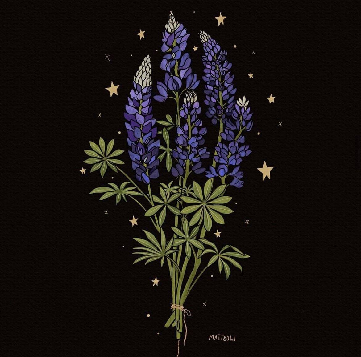 Painting of a lavender on a black background