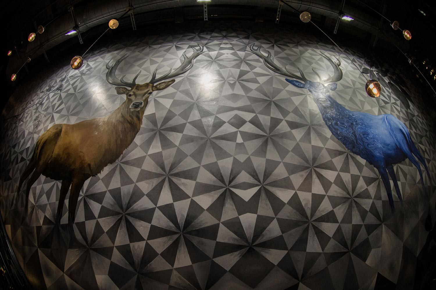 deer wall