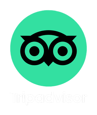 tripadvisor