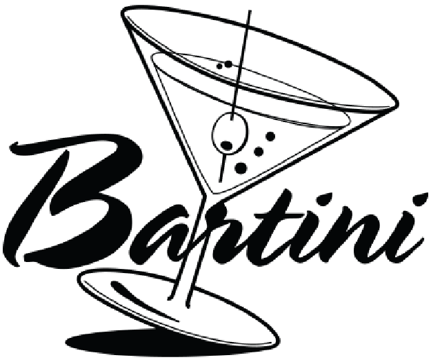 Bartini logo top - Homepage