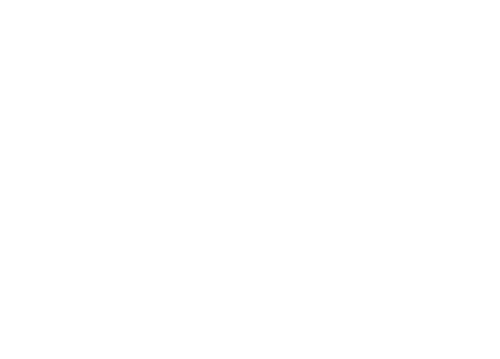 The Northern Public House logo top - Homepage