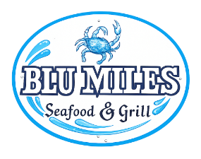 Blu Miles logo top - Homepage