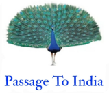 Passage To India logo top - Homepage