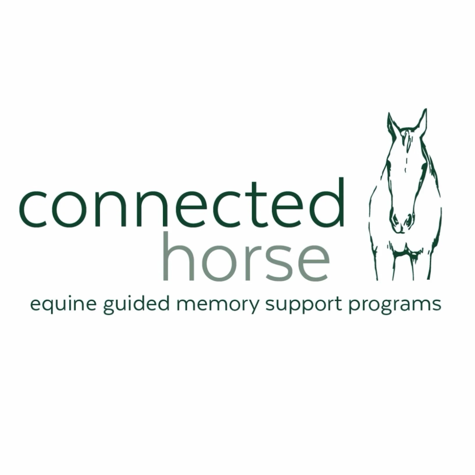 connected horse.