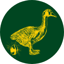 The Golden Goose logo top - Homepage