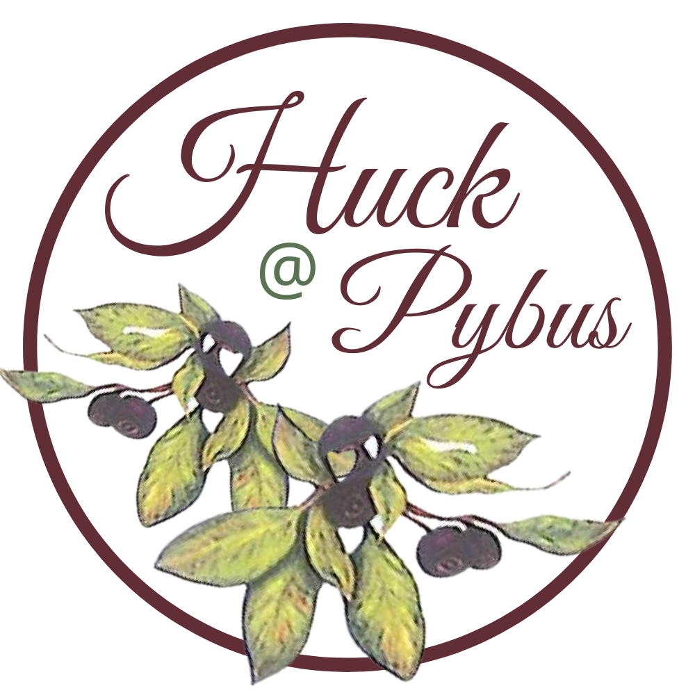Huck at Pybus