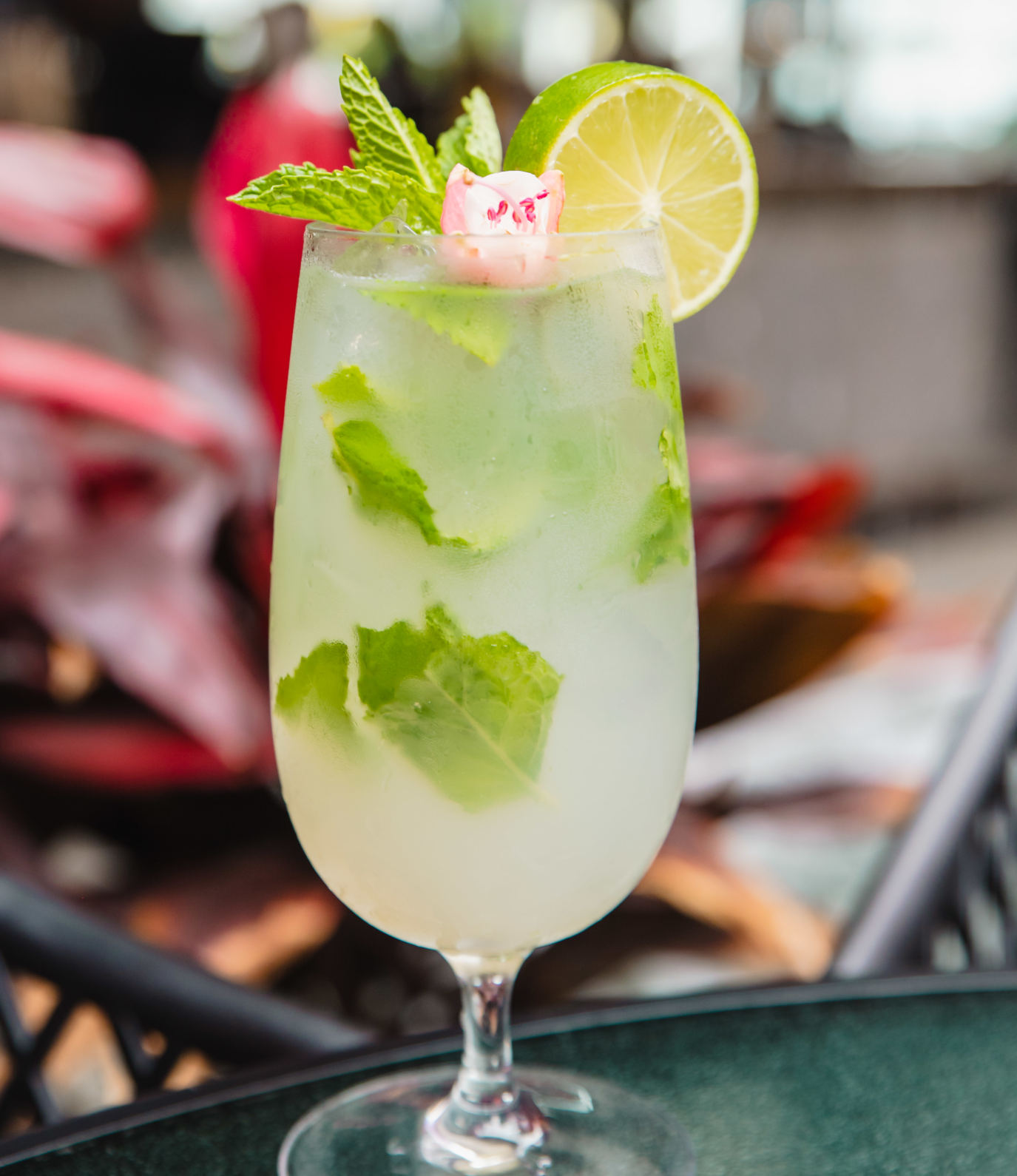 Mojito cocktail garnished with fresh mint, lime, and an edible flower.