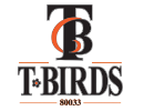 TBirds logo top - Homepage