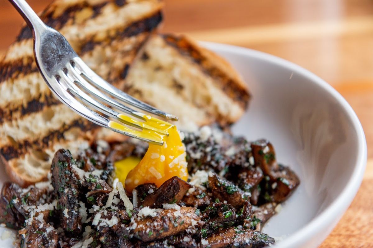 Close up shot of fork in wild mushroom dish with grilled bread