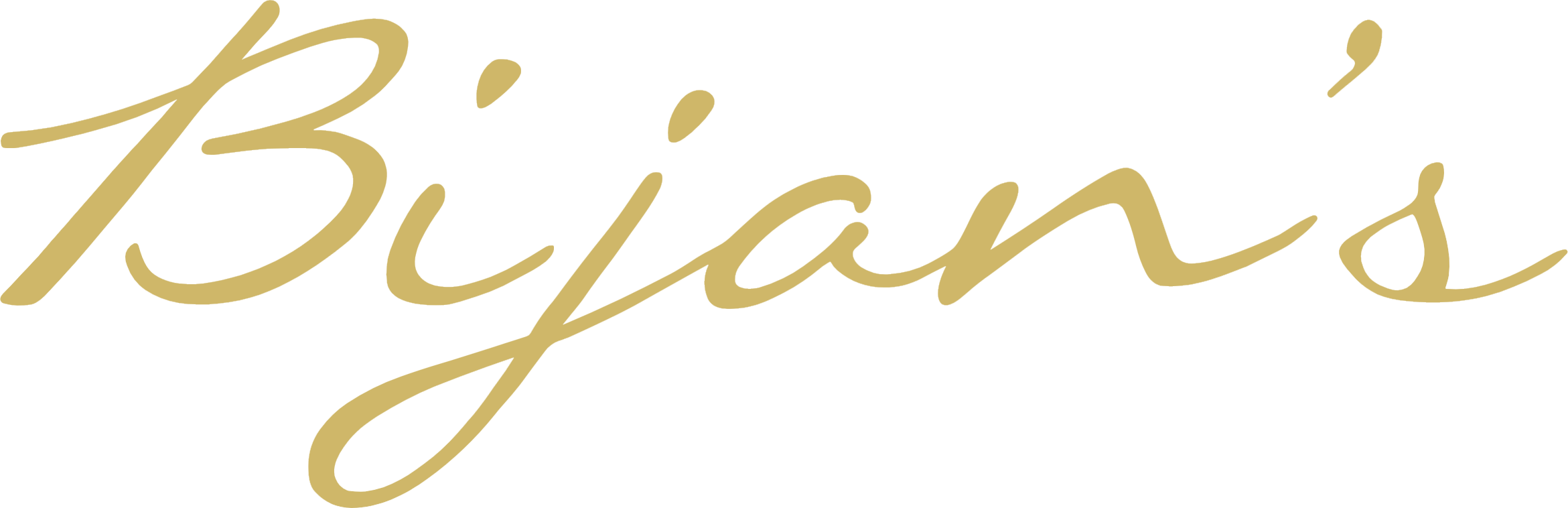 Bijan's logo top - Homepage