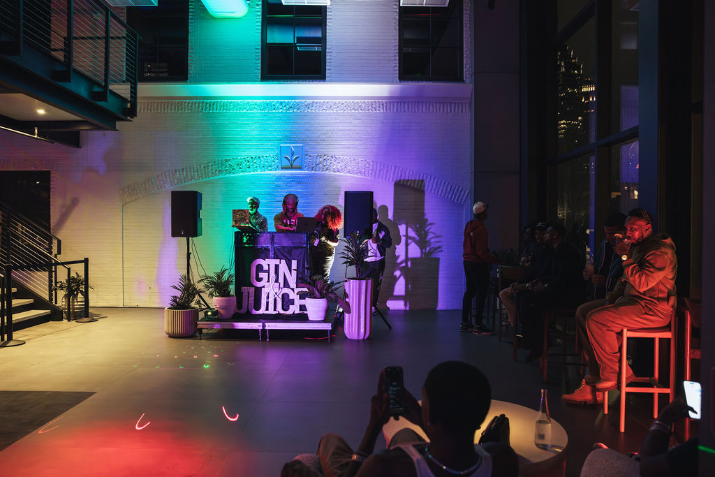 party slide photo number 2