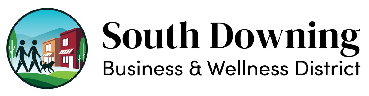 South Downing - Business & Wellness Disctrict website