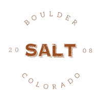SALT logo top