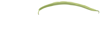The String Bean logo top