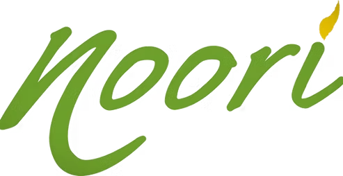 Noori Pakistani and Indian Cuisine logo top - Homepage