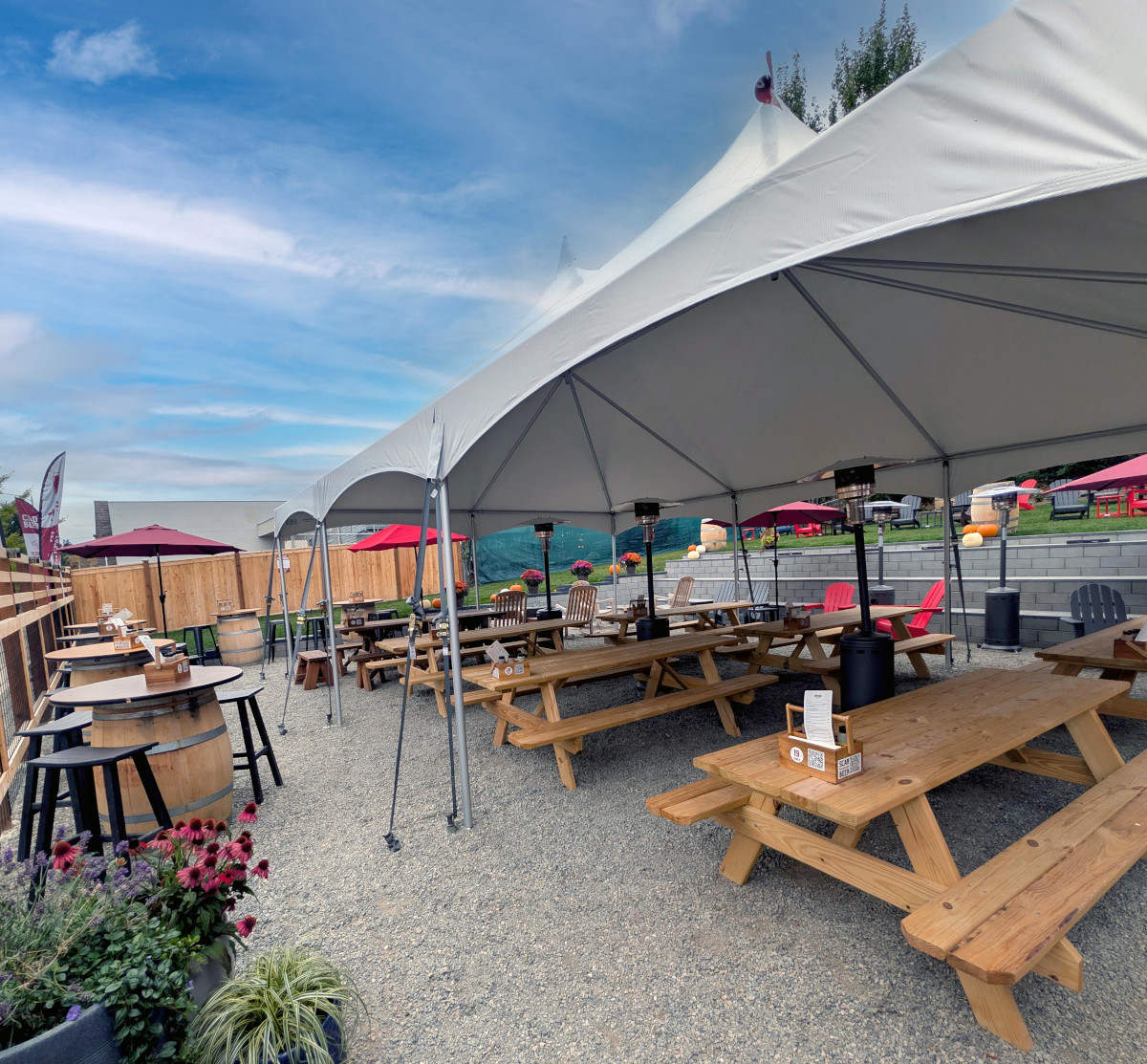 Redd Dog Brewing Co. photo 3