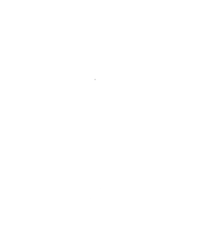 Juan's Flying Burrito logo top