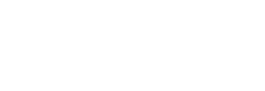 Zinicola logo top