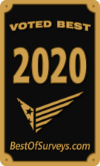voted best 2020 award sticker