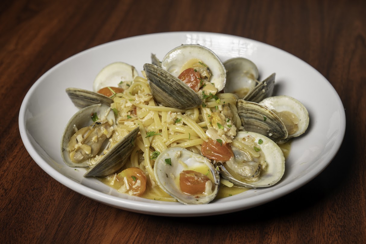 Linguini and Clams in a white plate side view