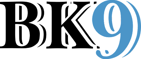 BK9 logo top - Homepage