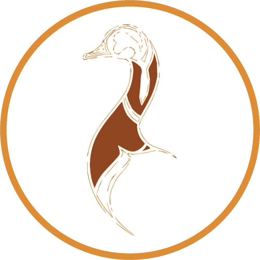 Gusi logo top - Homepage