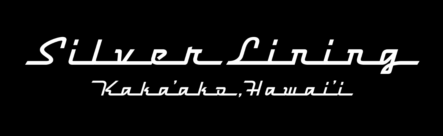 Silver Lining logo