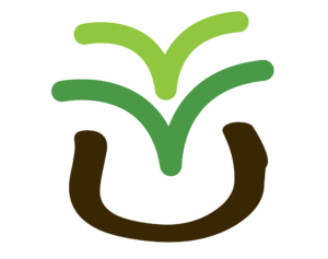 Veggie Village logo scroll