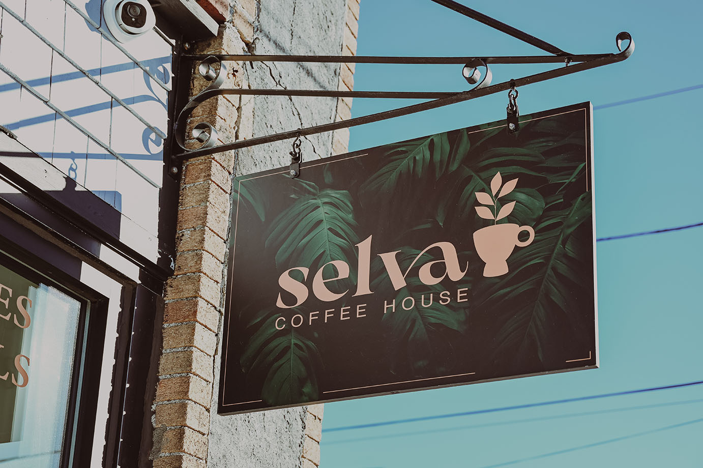 Selva Coffee House - Winthrop, MA