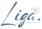 Liga at the Rec League