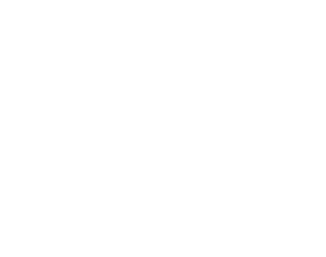 Snowbank Brewing logo top