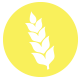 Durum Wheat Flour icon