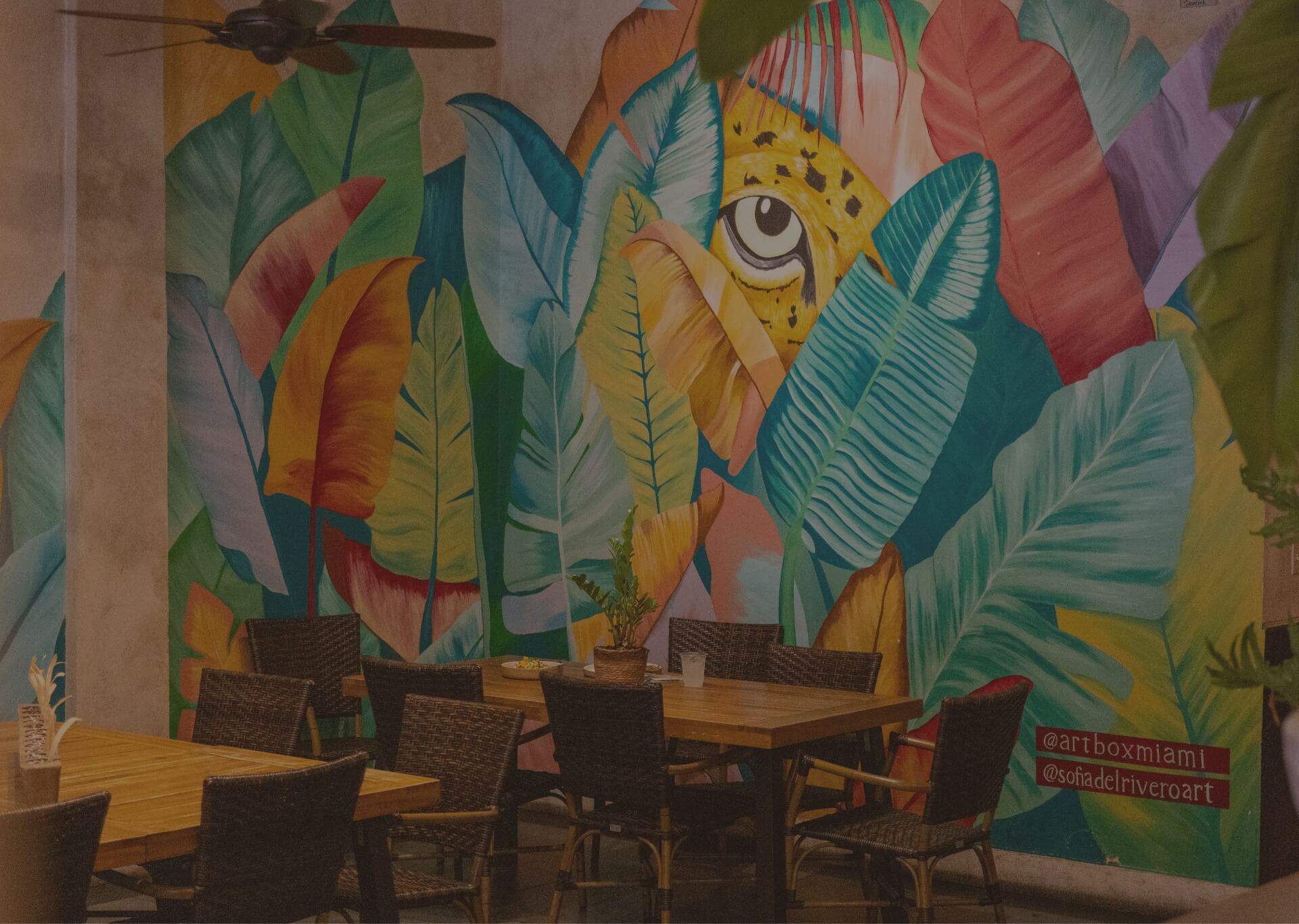 Jaguar Restaurant — Coconut Grove