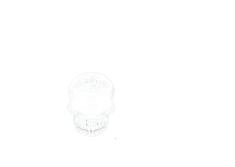Drunken Worm logo top