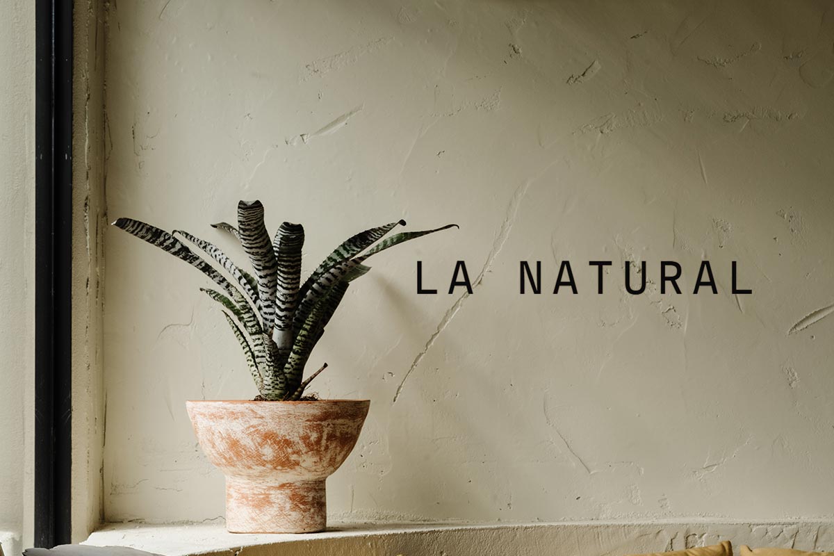 Pizza at La Natural in Miami