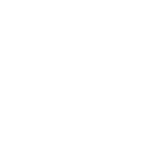 98 Asian Bistro logo top