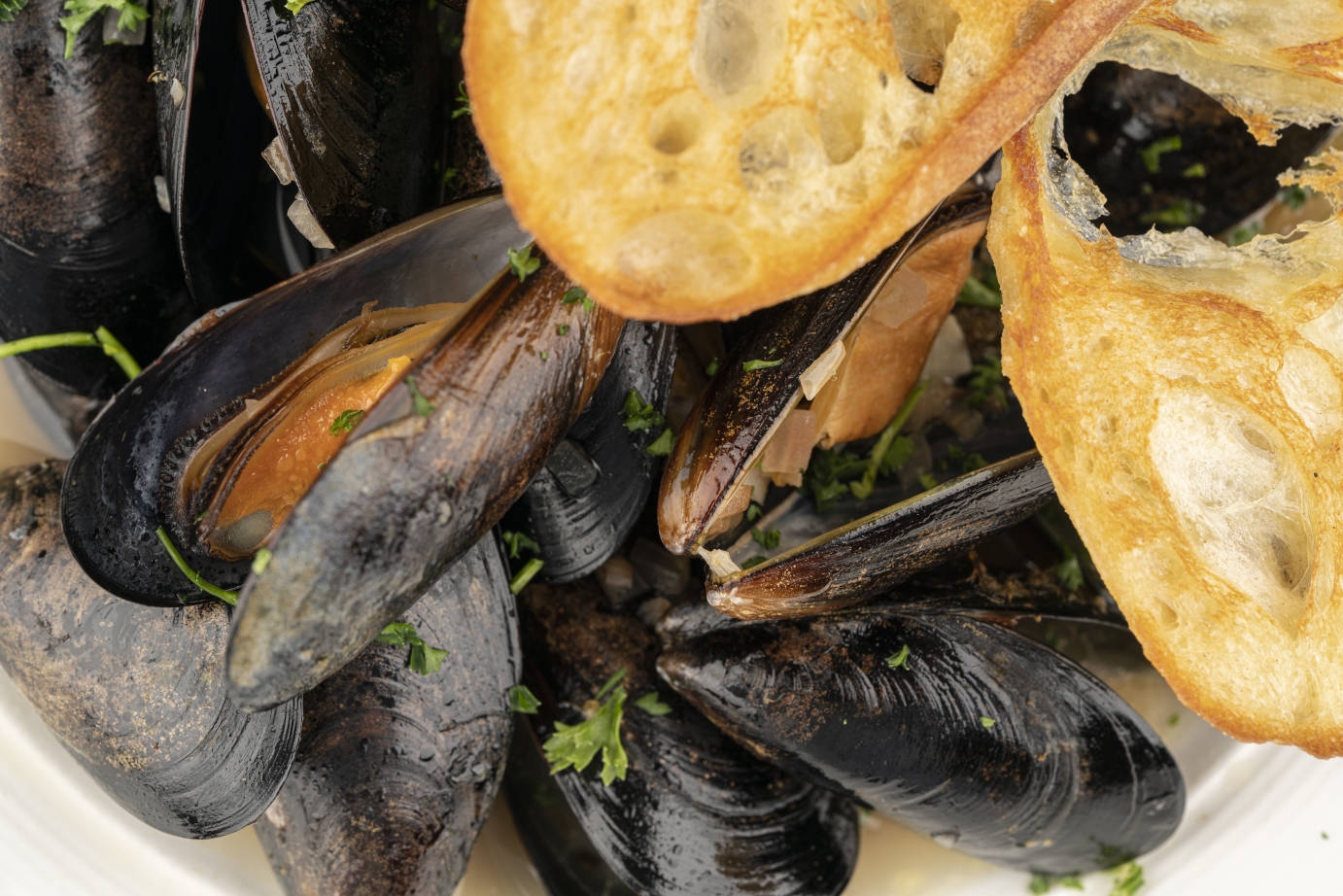 Mussels and toasted bread