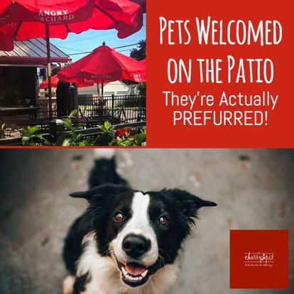 pets are welcomed on the patio