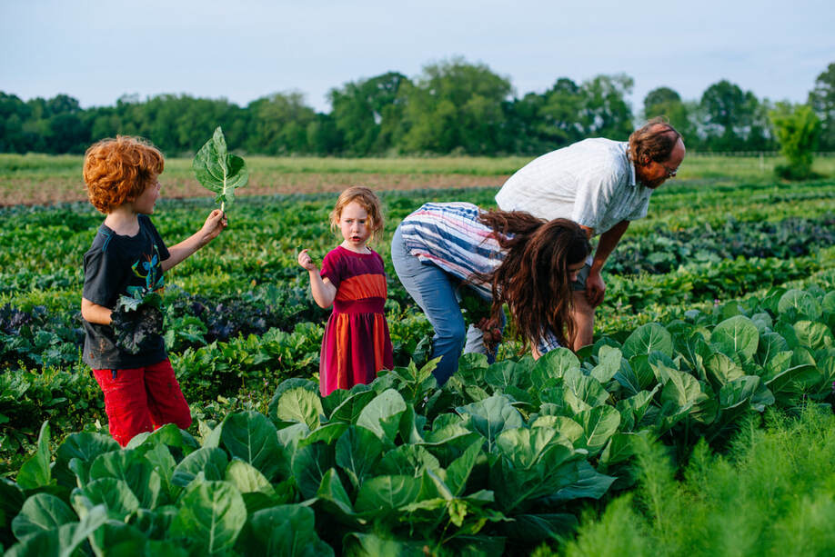 Family working in a farm field