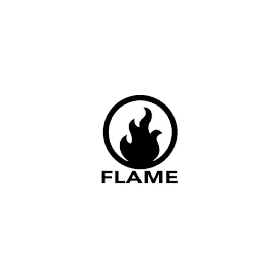 www.flamedsm.com